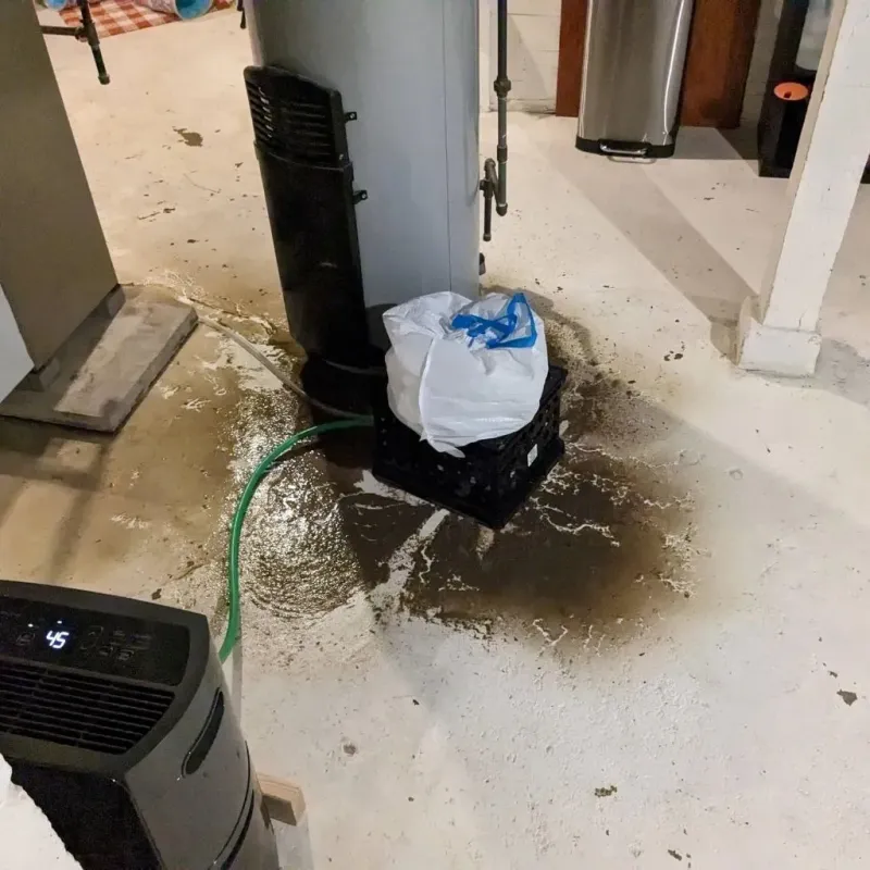 Sewage Backup Cleanup Service in Ciales, PR
